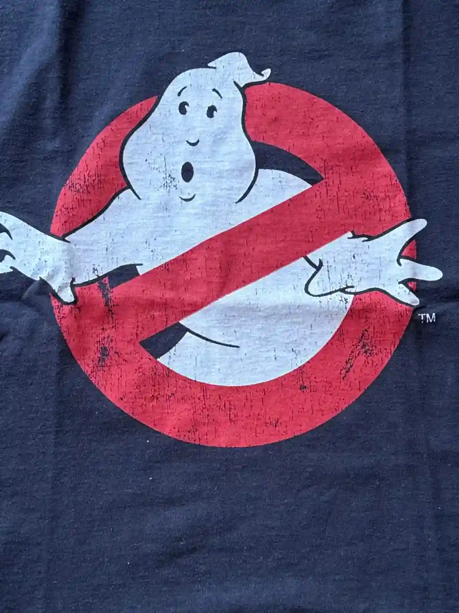 FRUIT OF THE LOOM Fanshirt Bild 3