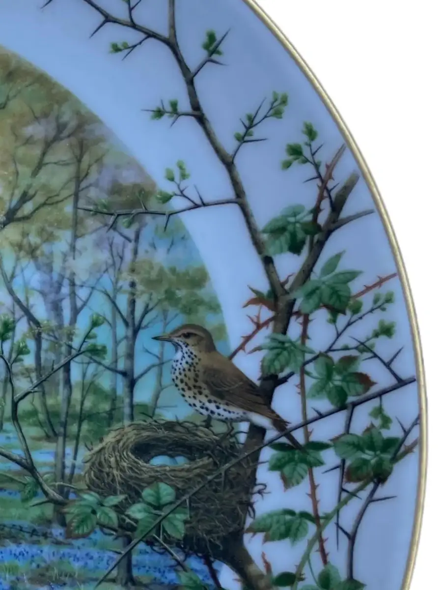 ROYAL WORCESTER Sammelteller Bild 4