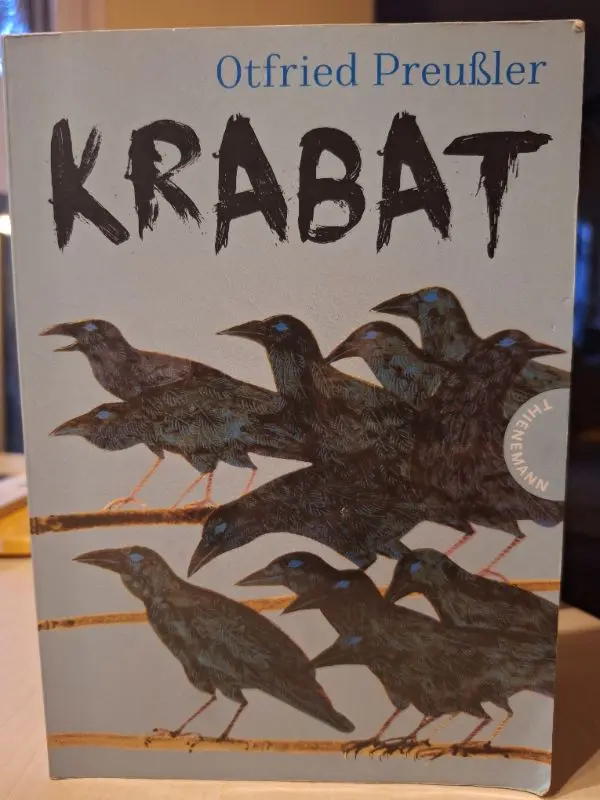 Buch für Jugendliche Bild 2