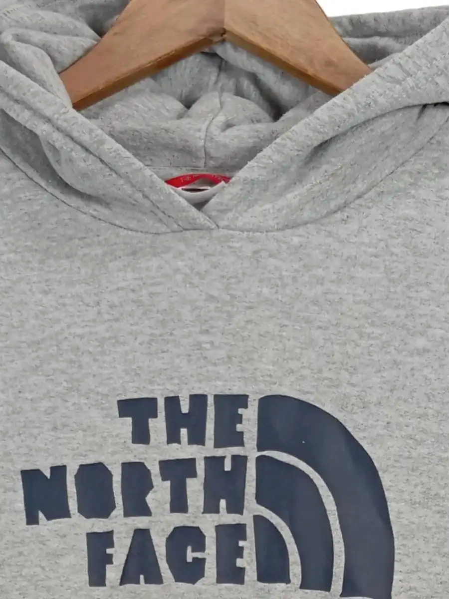 THE NORTH FACE Kapuzenpullover Bild 2