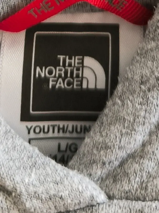 THE NORTH FACE Kapuzenpullover Bild 3