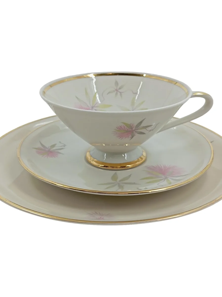 HUTSCHENREUTHER Tasse und Unterteller Bild 2