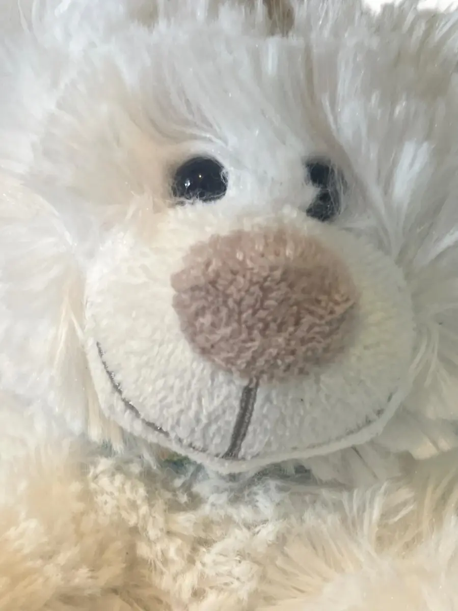 MARTIN BÄREN Baby Kuscheltier Bild 2