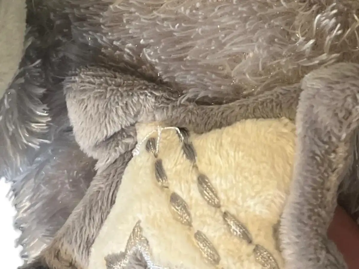 MARTIN BÄREN Baby Kuscheltier Bild 3