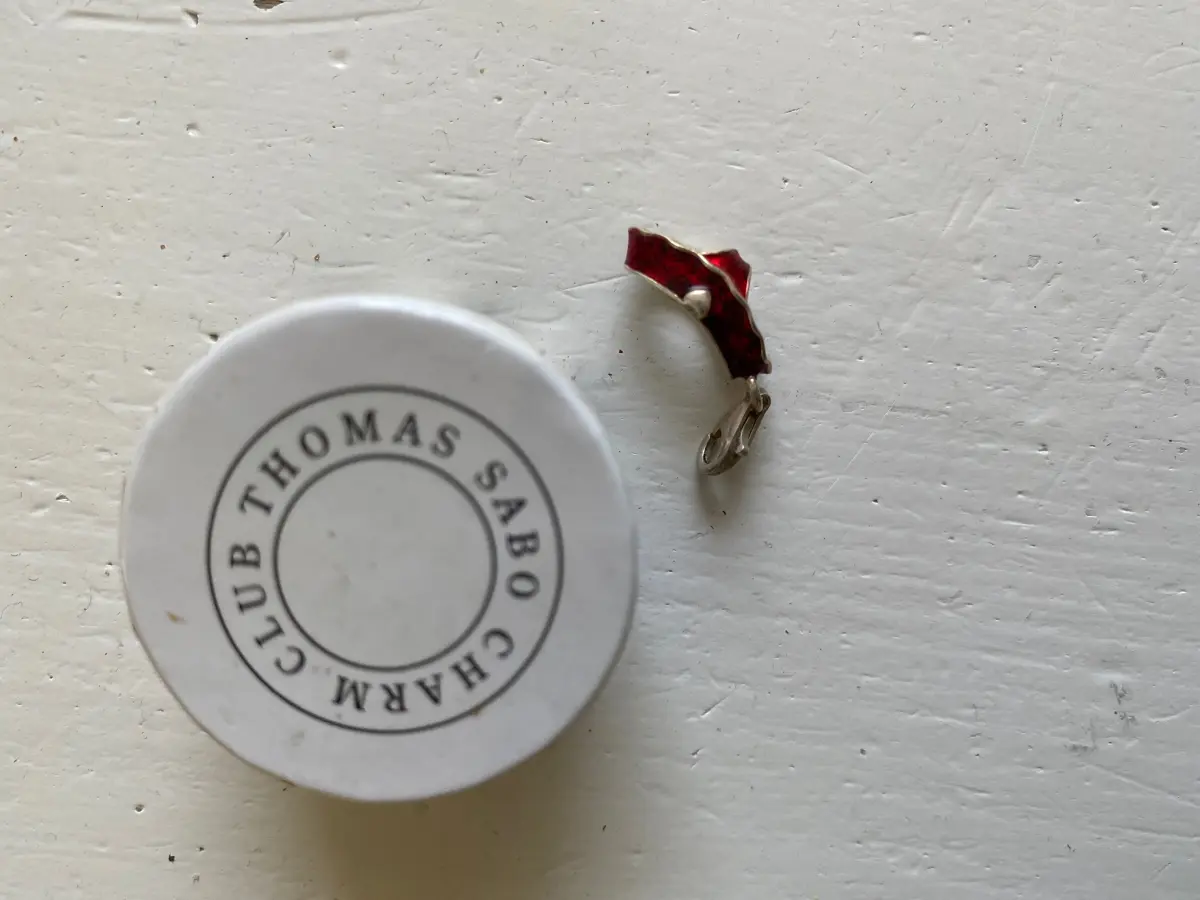 THOMAS SABO Charm Anhänger Bild 2
