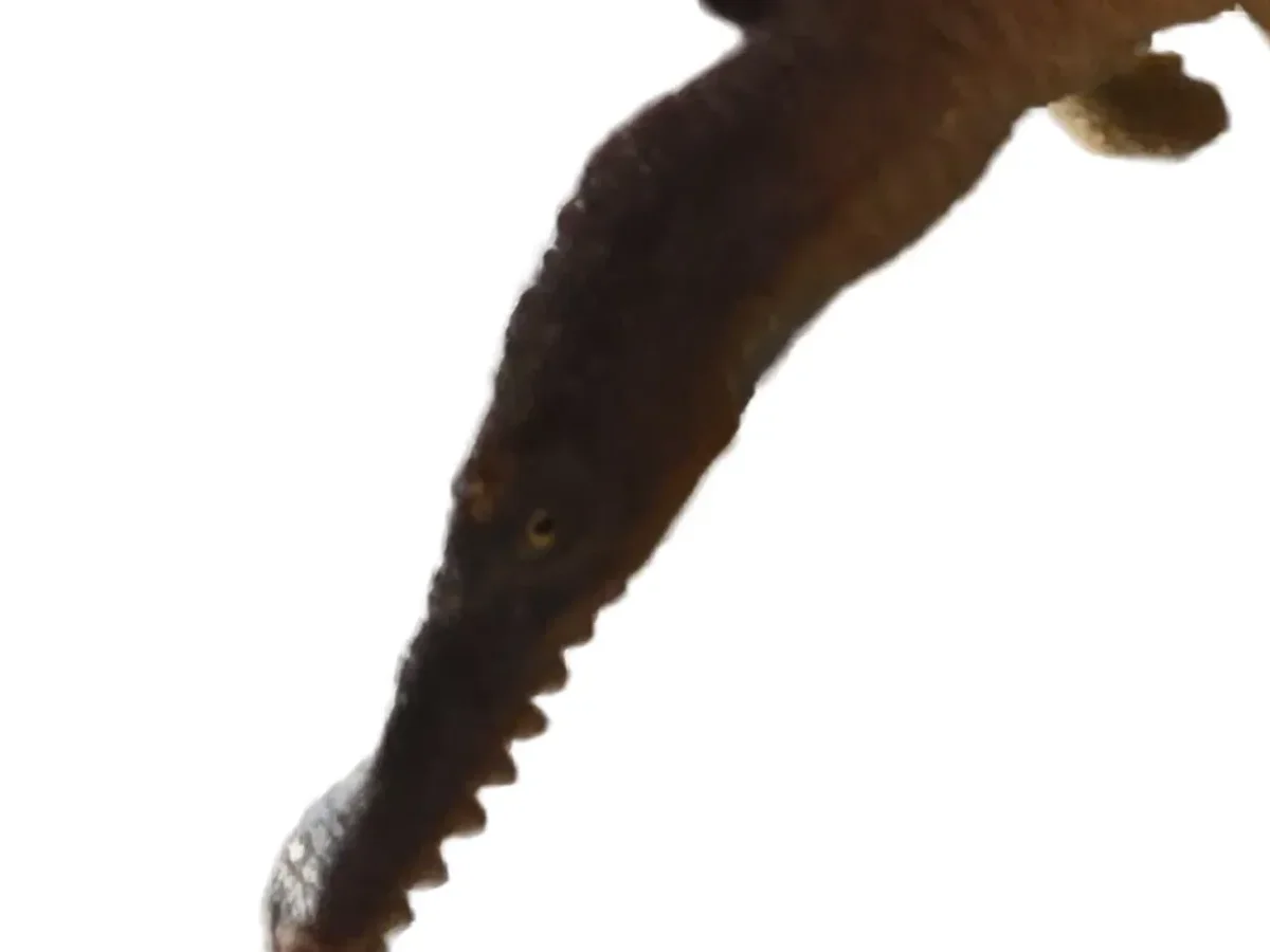 SCHLEICH Schleich Spielfigur Bild 3