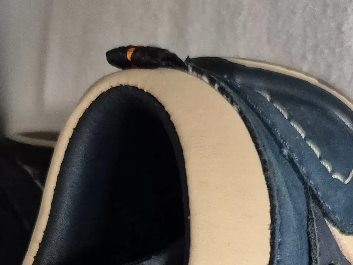 ELEFANTEN Krabbelschuhe Bild 4