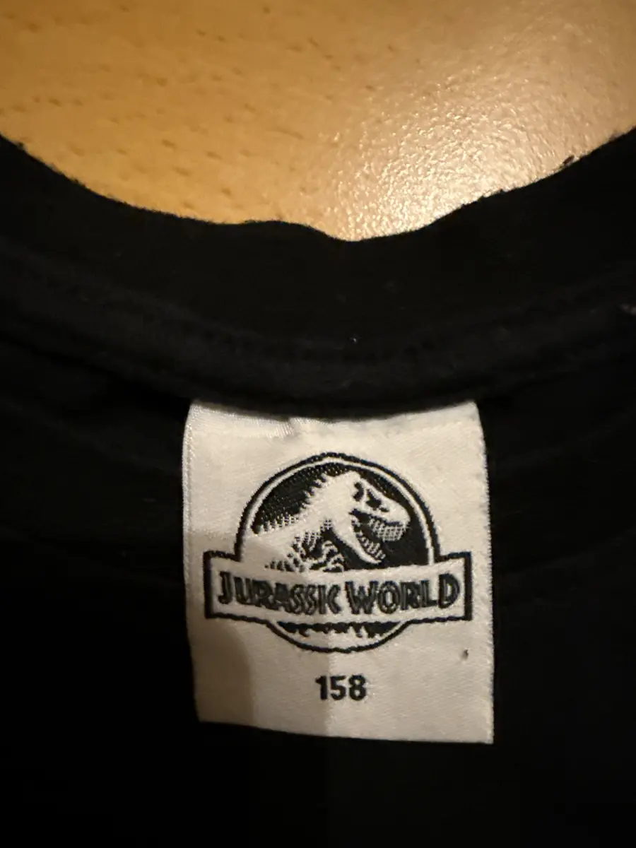 Fanshirt Bild 5