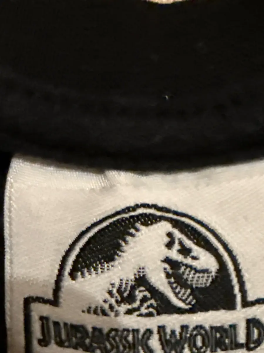 Fanshirt Bild 6