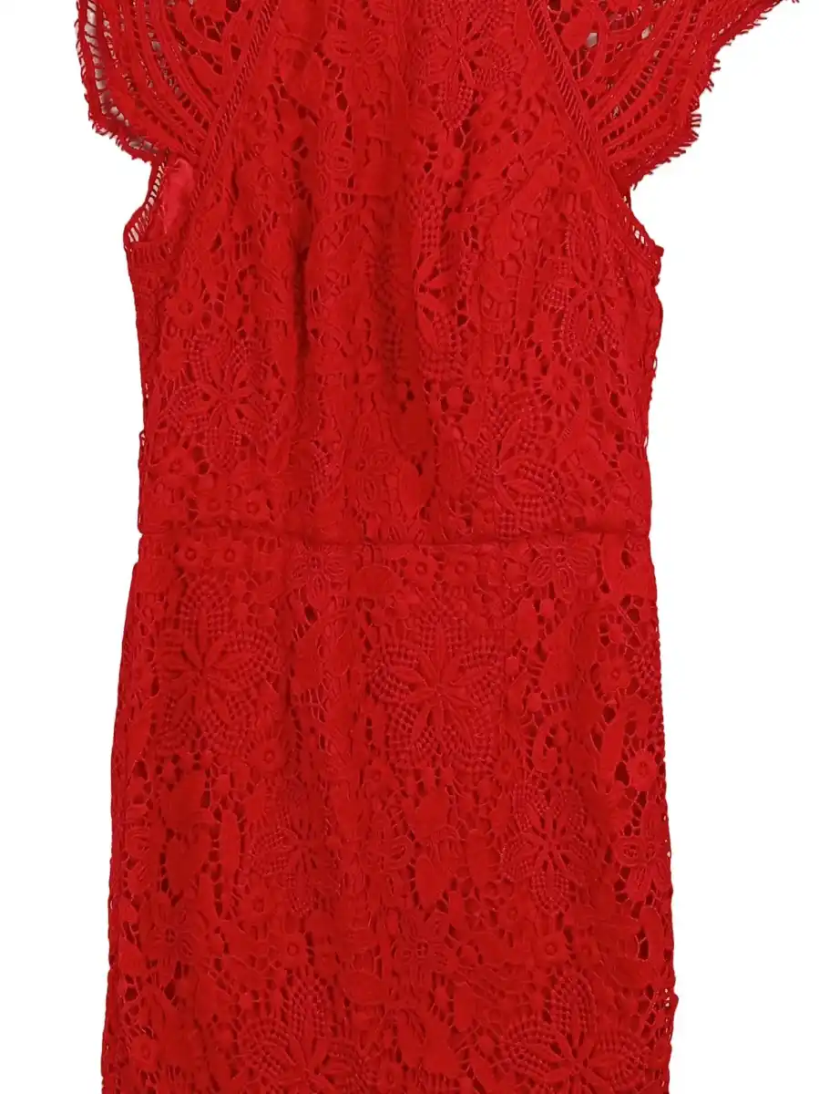 CHI CHI LONDON Spitzenkleid Bild 3
