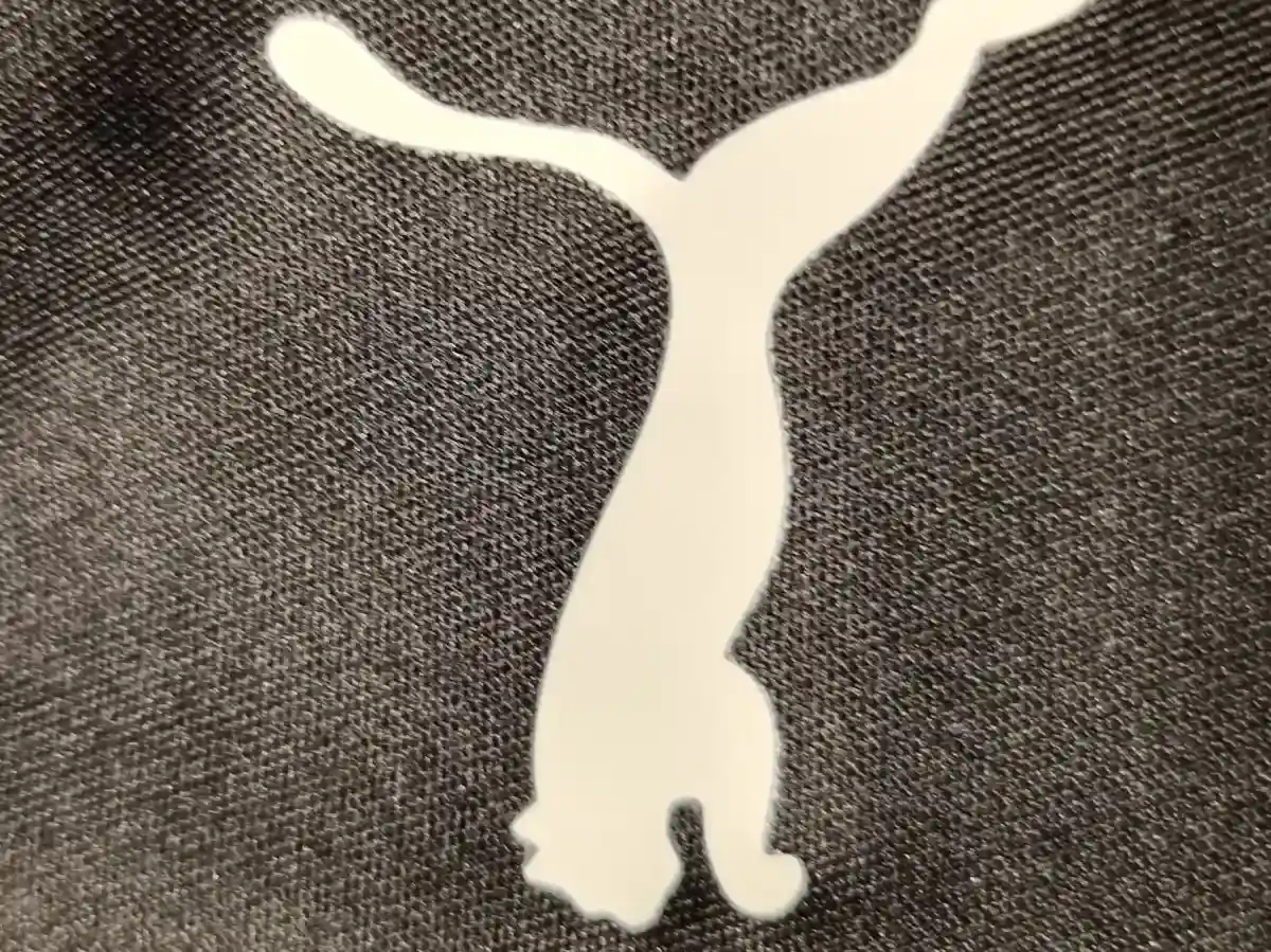 PUMA Sport Shorts Bild 4