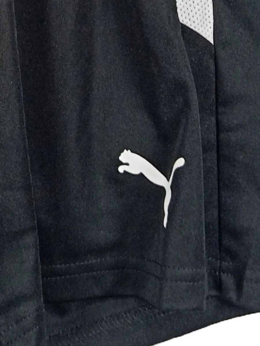 PUMA Sport Shorts Bild 3