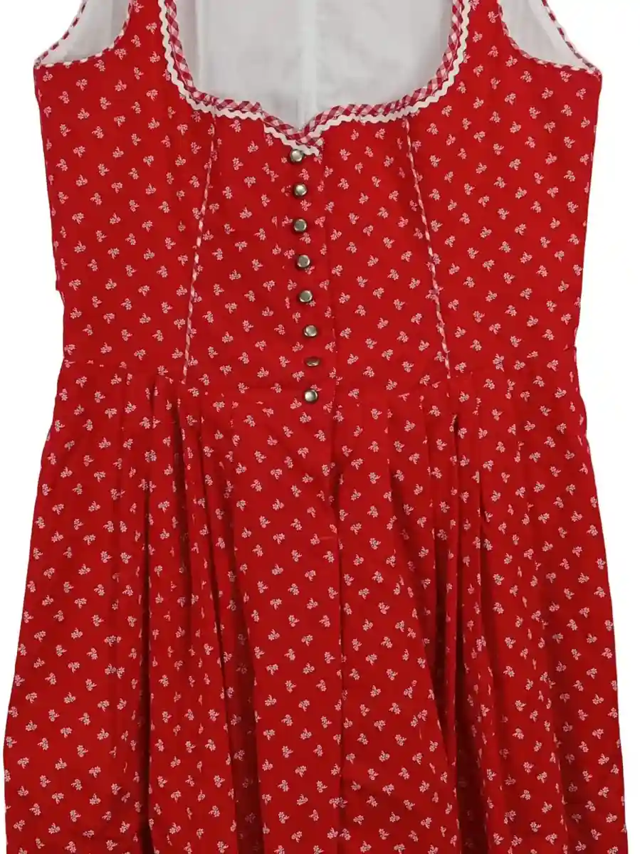 Dirndl Trachtenkleid Bild 2