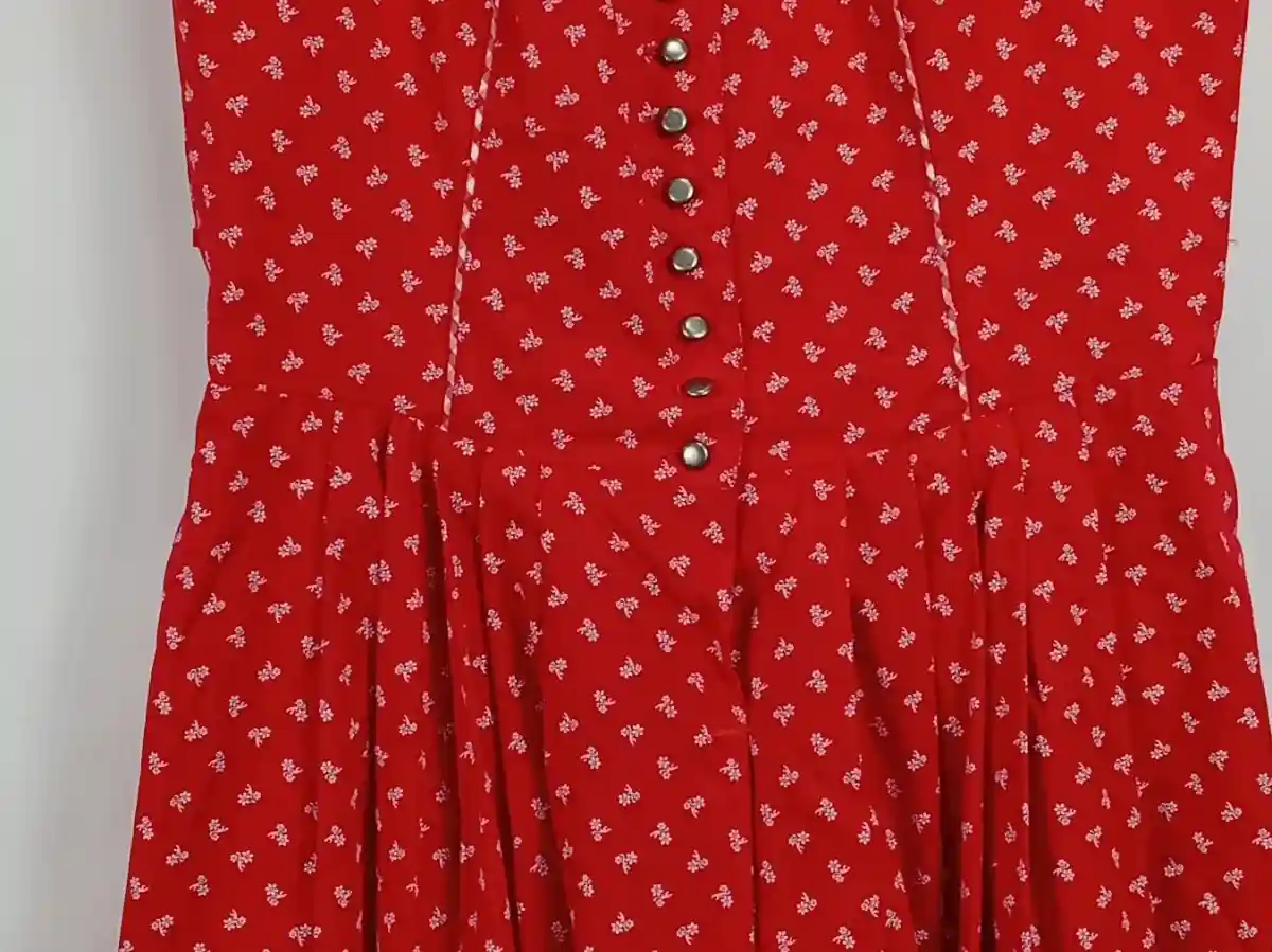 Dirndl Trachtenkleid Bild 7
