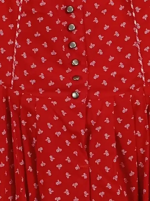 Dirndl Trachtenkleid Bild 4
