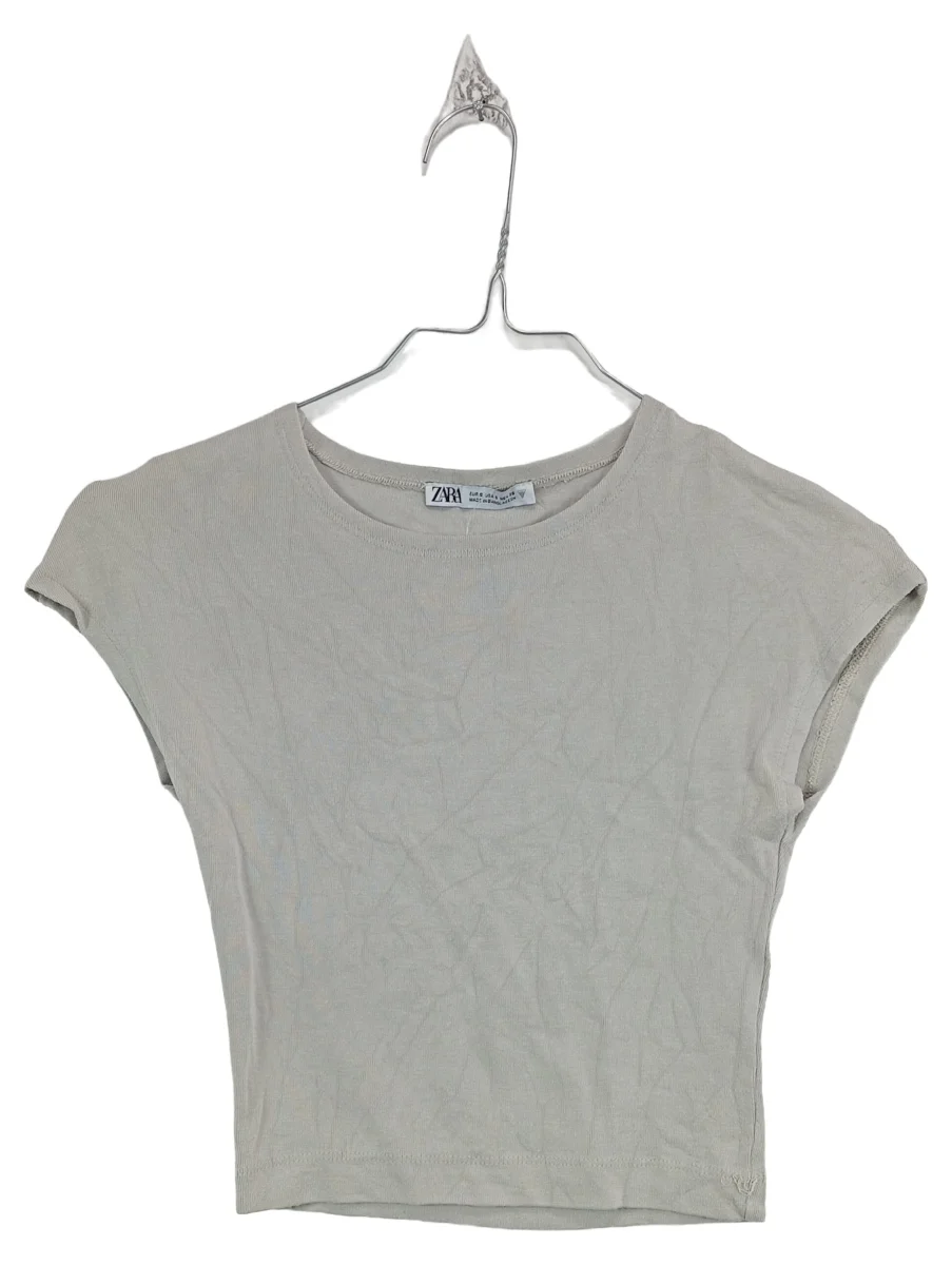Zara Top