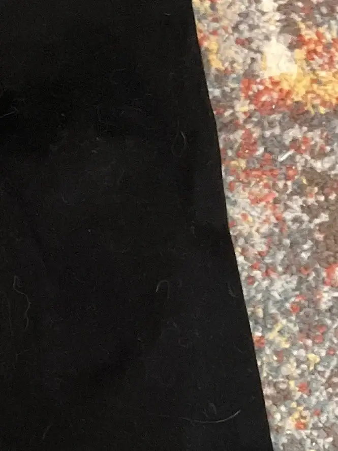JOSEPH RIBKOFF Jeans Bootcut Bild 3
