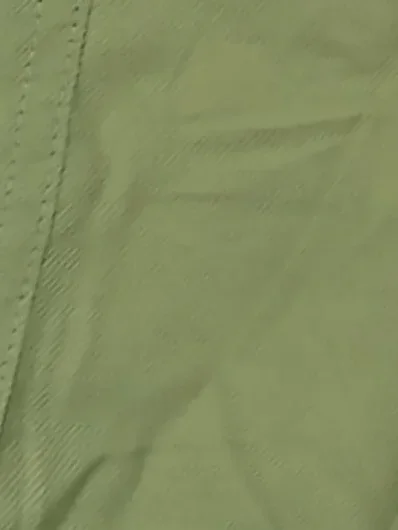 RICH & ROYAL Cargo Shorts Bild 5