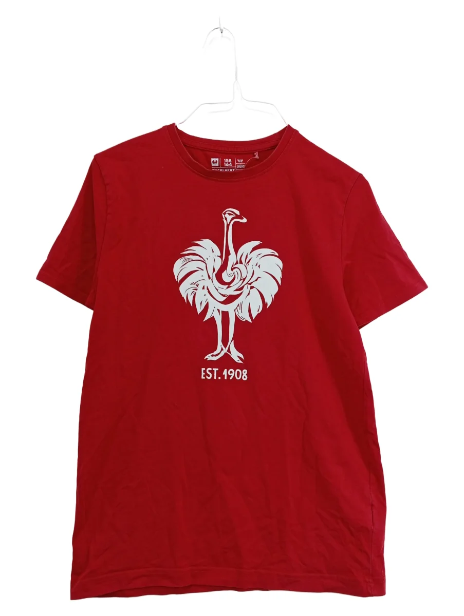 ENGELBERT STRAUSS T-Shirt