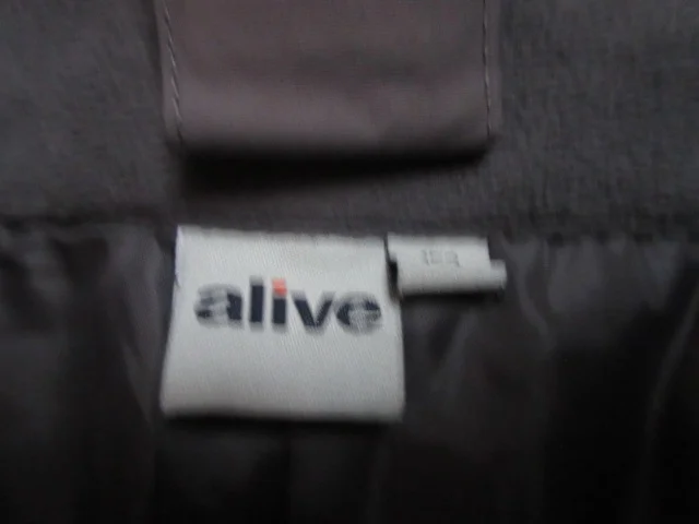 ALIVE Skihose Bild 4