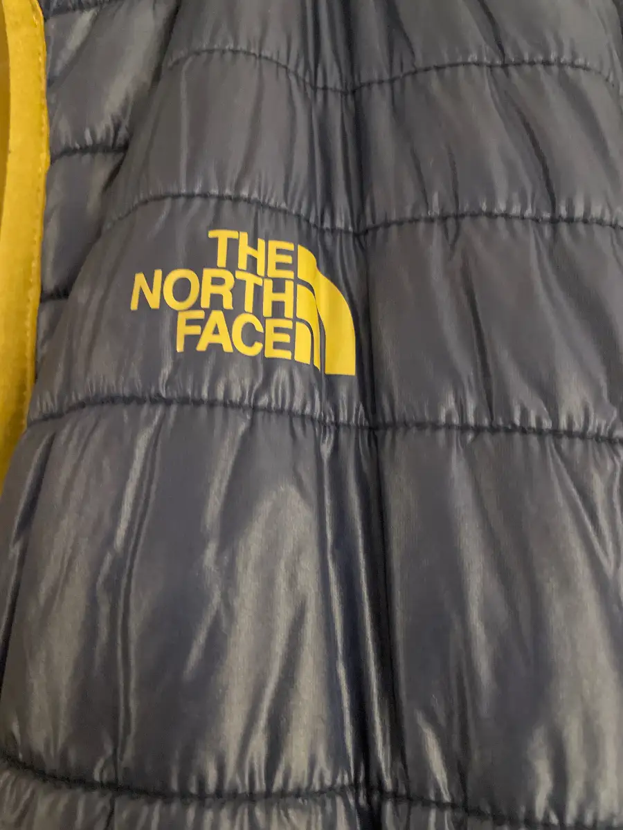 THE NORTH FACE Steppjacke Bild 3