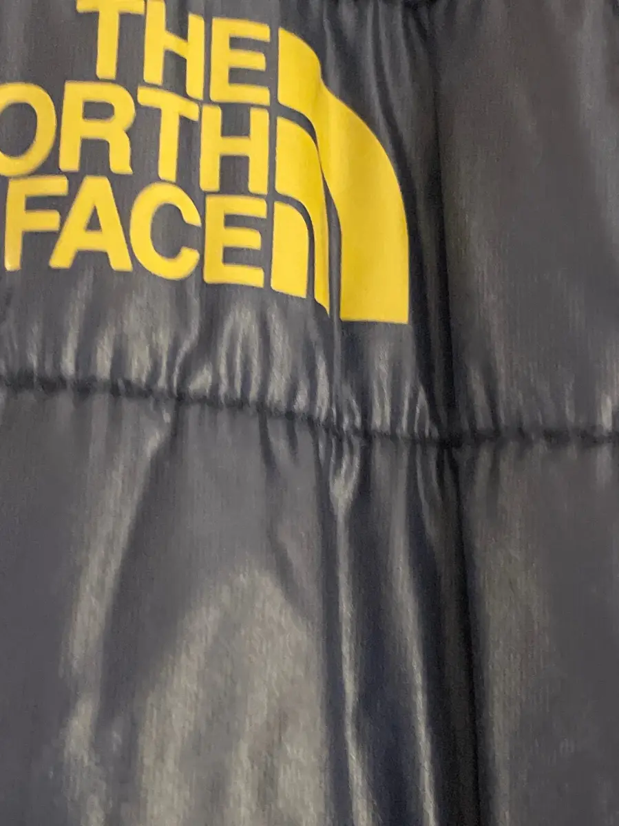 THE NORTH FACE Steppjacke Bild 4