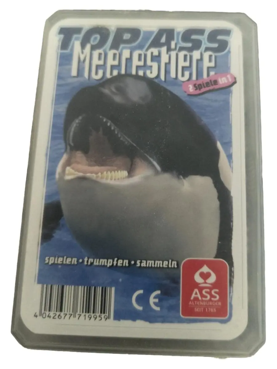 Kartenspiel