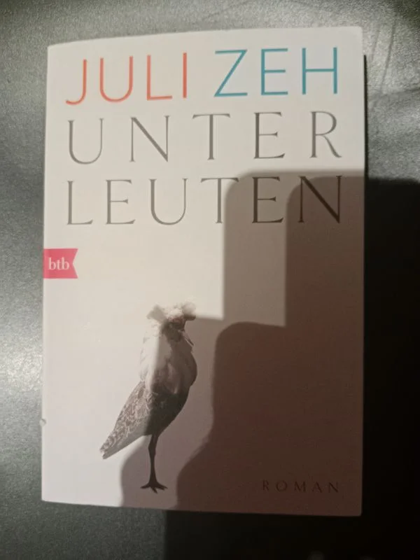 Gesellschaftsroman Bild 2