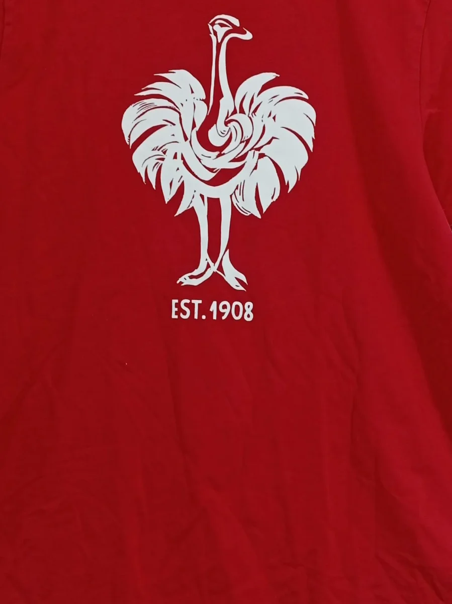 ENGELBERT STRAUSS T-Shirt Bild 3
