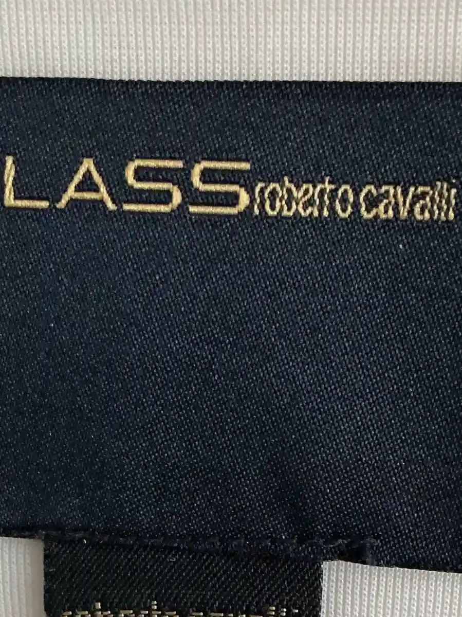 CAVALLI CLASS Faltenrock Bild 3