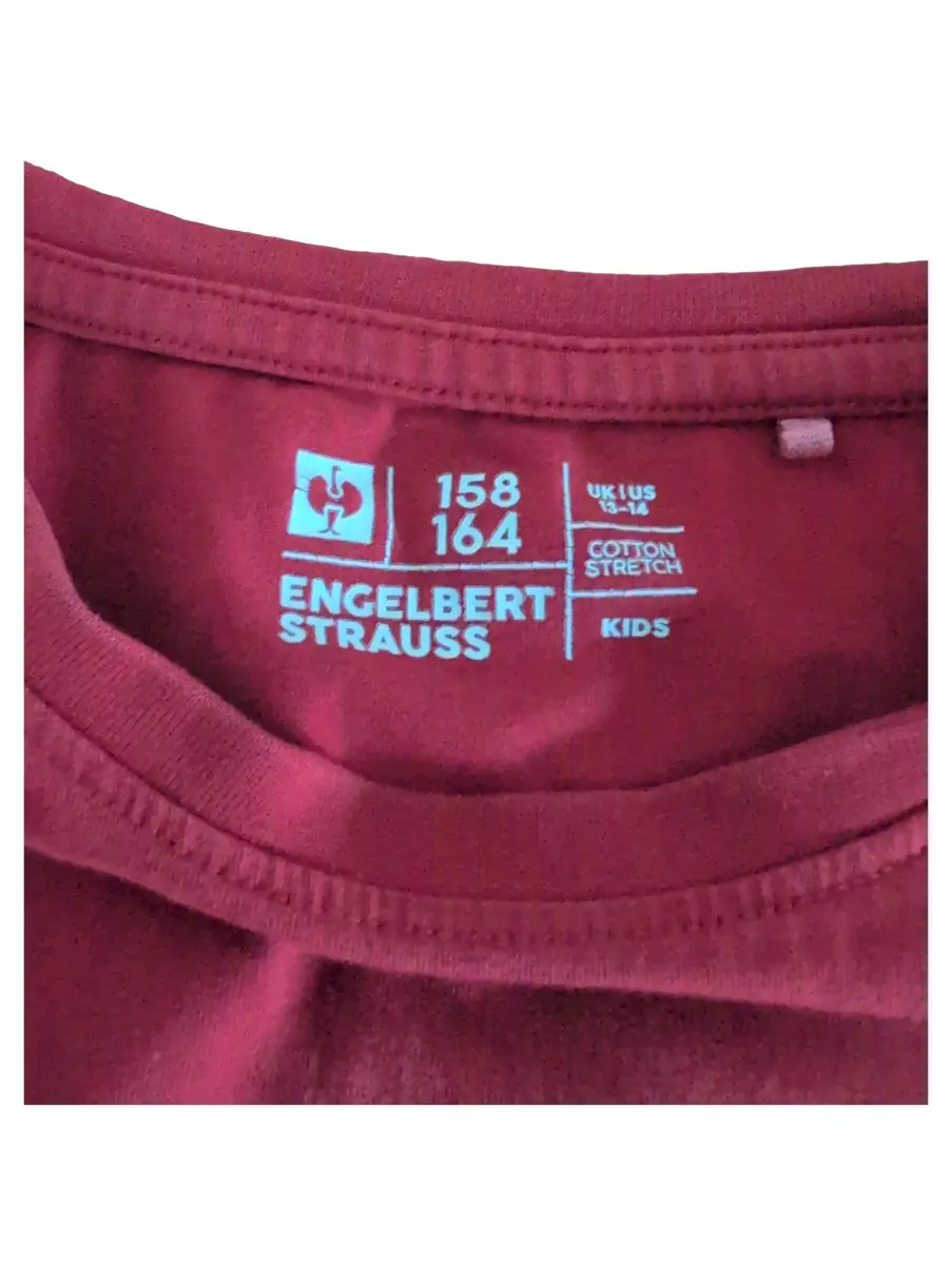ENGELBERT STRAUSS T-Shirt Bild 4