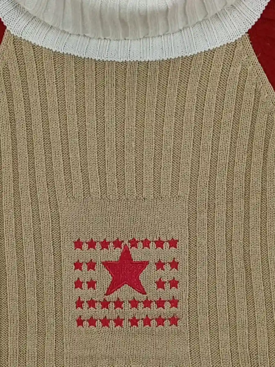 PULCINO Pullover Bild 2