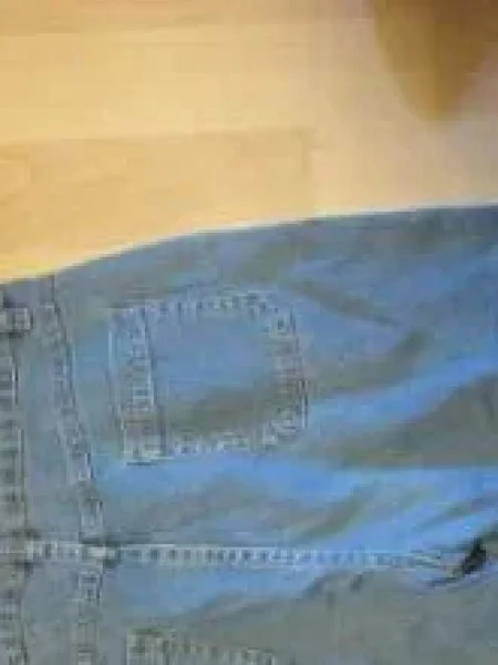 ALIVE Cargo Shorts Bild 4