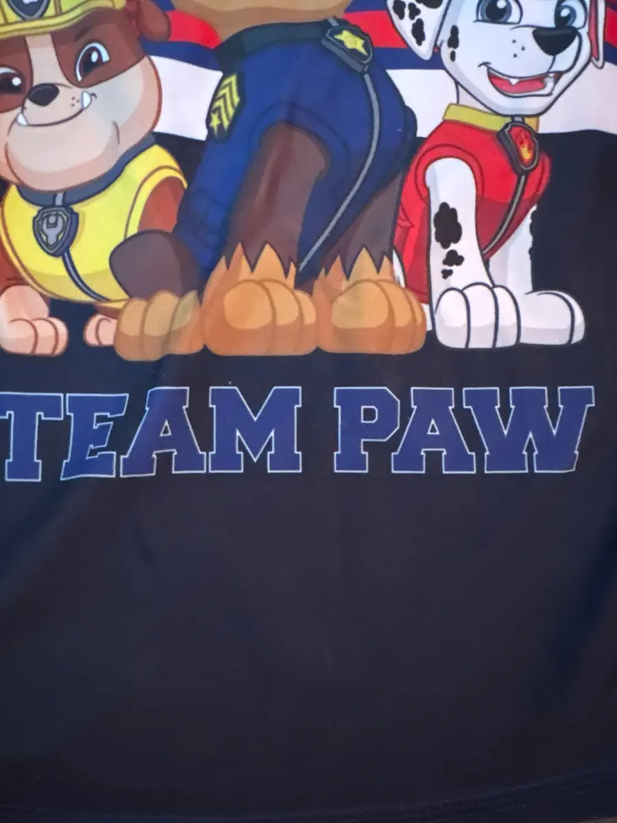PAW PATROL Neoprenanzug kurz Bild 5
