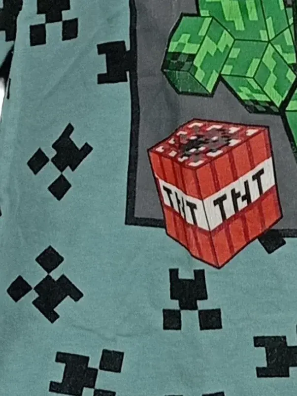 MINECRAFT Fanshirt Bild 4