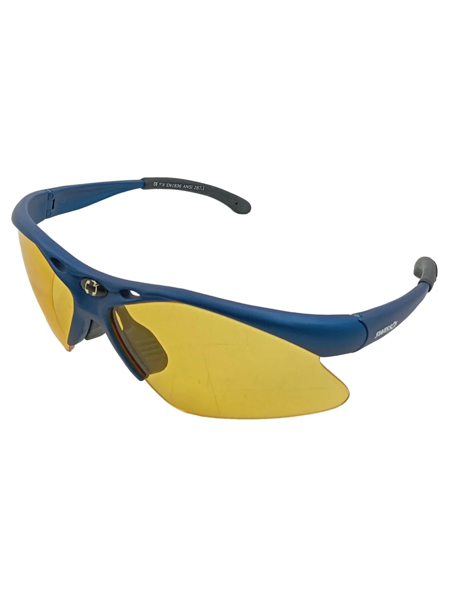 SWISSEYE Arbeits-Schutzbrille