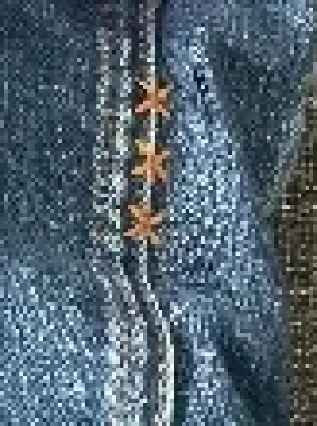 SCOTCH & SODA Jeans Bootcut Bild 4