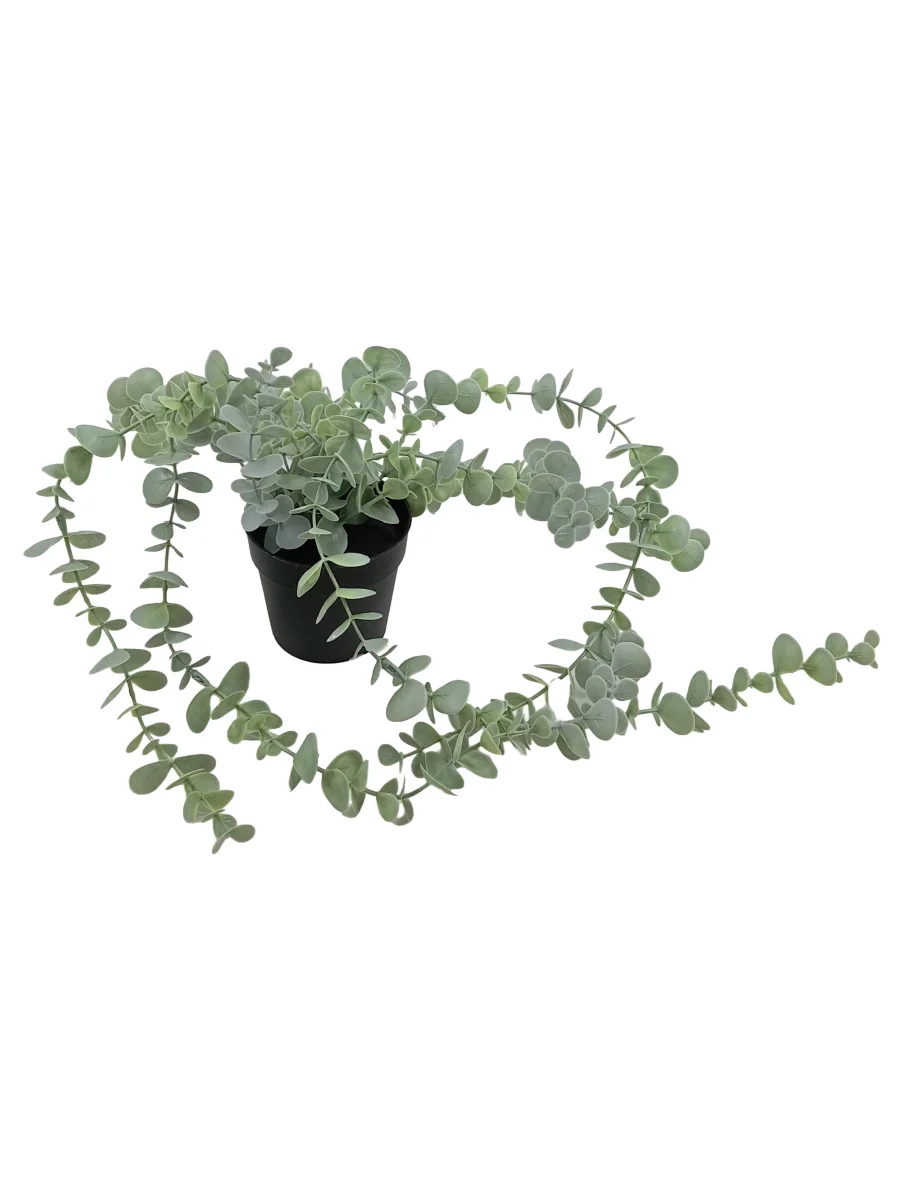 IKEA Kunstpflanze FEJKA Eukalyptus Hängepflanze im Topf…