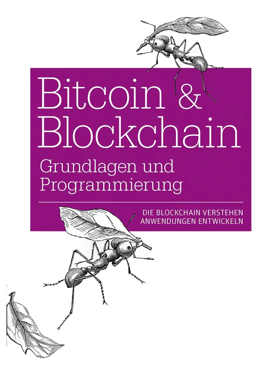 IT und Programmierbuch Bild 2