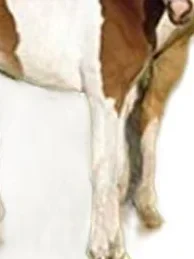 Sachbuch für Kinder Bild 5