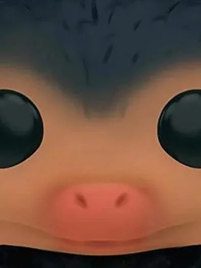 FUNKO Fan Figur Bild 5