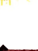 Unterhaltungsliteratur Bild 4
