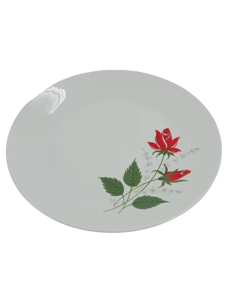 SCHIRNDING Speiseteller Weiß Porzellan Blumen Blumenmuster…