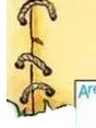 Buch für Kinder Bild 4