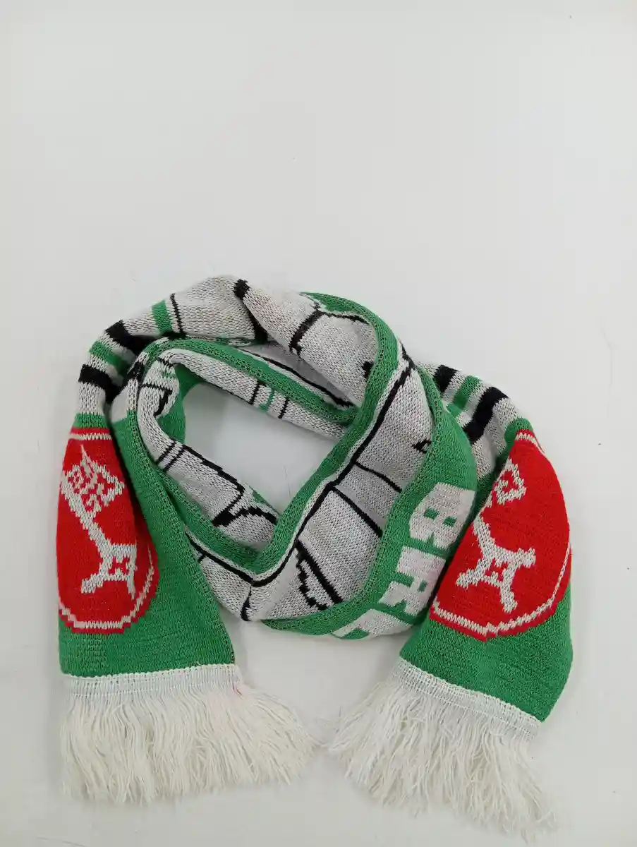 SV WERDER BREMEN Fanschal Bild 3