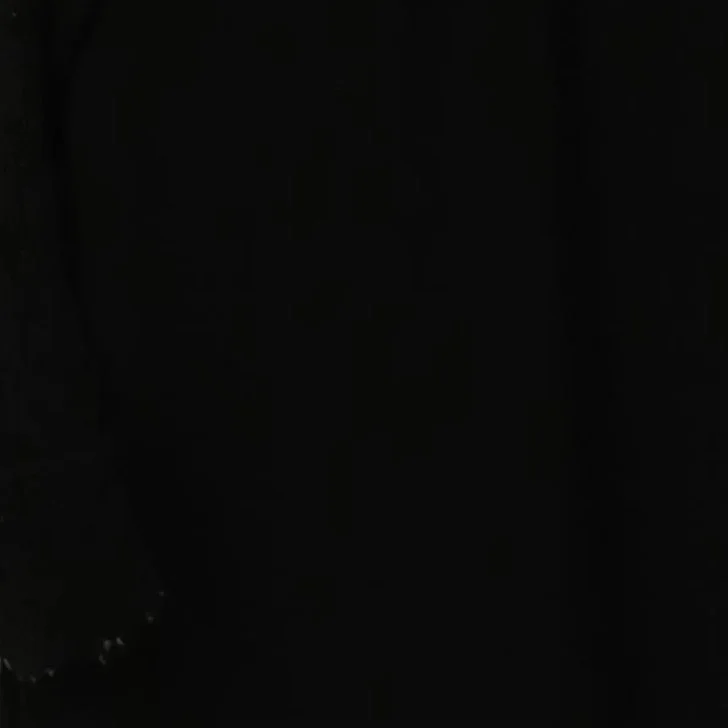 ZARA festliches Kleid Bild 4