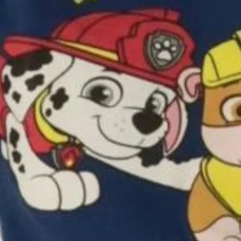 NICKELODEON Langarmshirt Bild 5