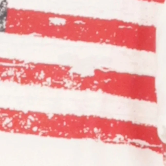 U.S. POLO ASSN. T-Shirt Bild 4