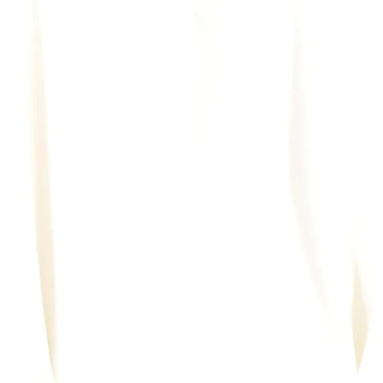 LA PERLA Blusenkleid Bild 5