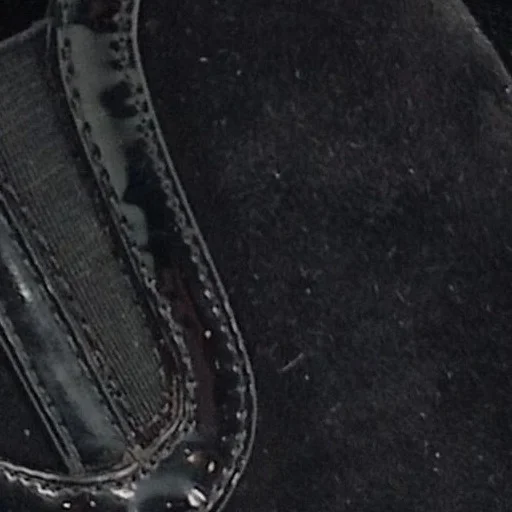 CLARKS Pumps Bild 6